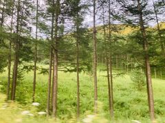 -塞罕坝国家级自然保护区