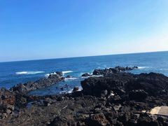 -涉地可支