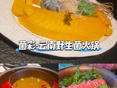 -季季山·云南野生菌火锅(上海首店)