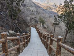 -白水寺森林公园
