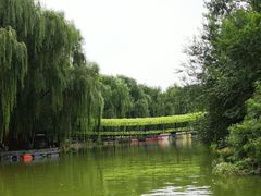 -廊坊市自然公园