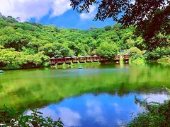 -李小龙乐园(顺德均安店)