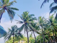 -海南分界洲岛旅游区