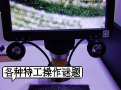 -永夜方舟·捉迷藏·二次元密室