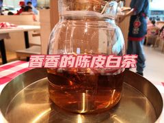 陈皮白茶-西贝(东城万达广场店)