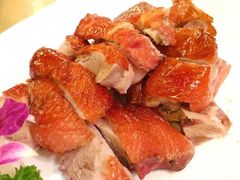 -糟粕醋·椰苑海南菜餐厅(亚龙湾天域酒店)