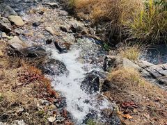 -雁荡山雁湖景区