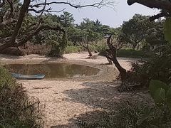 -鹤之洲湿地公园