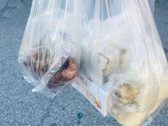 -矮子馅饼(大成路店)