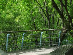 -西湖风景区-江洋畈生态公园