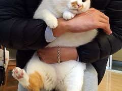 -纯K(西湖店)