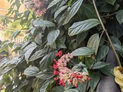 -西关84·History·Art·Cafe