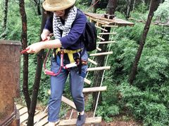 -梦幻奥陶纪景区