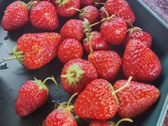 -亲兄弟真人CS团建拓展基地