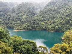 -鼎湖山风景区