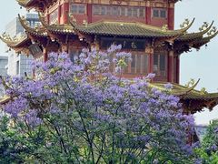 -龙潭水乡