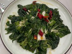 炝拌奶白菜-清真悦宾楼食府(海湖店)