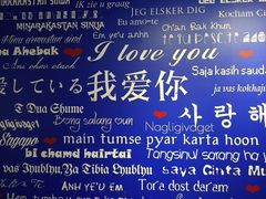 -成都失恋馆