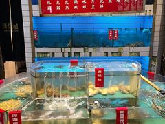 -禄婶鸡煲·打边炉