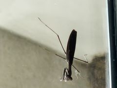 -秦皇岛阿尔卡迪亚滨海度假酒店