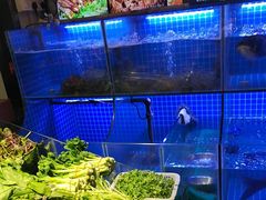 -鲍氏金勺子(恒大店)