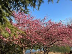 -白塘生态植物园