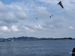 -刘公岛景区