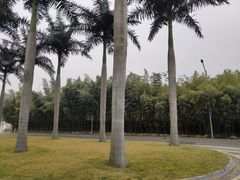 -西安国际创新人才交流中心•药浴温泉