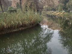 -解放公园