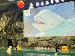 -威海华夏城景区