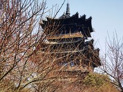 -杭州半山国家森林公园