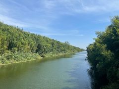 -黄海国家森林公园