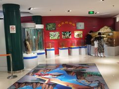 -上海昆虫博物馆