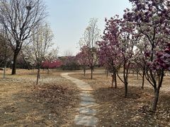 -北京西山国家森林公园