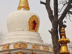 -护国法轮寺
