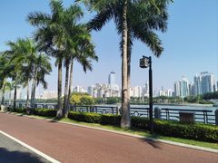 -南宁南湖公园