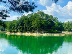 -广州市流溪河国家森林公园
