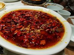 毛血旺-初蓉丨遇见新川菜(亲贤街荣耀店)