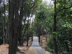 -火炉山森林公园