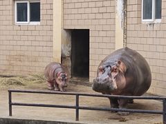 -合肥野生动物园