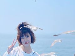 -海驴岛(荣成市)