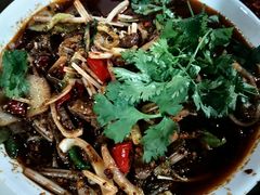 -小杨翘脚牛肉