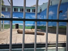 -保定市动物园