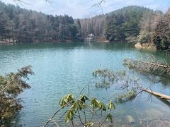 -四明山国家森林公园
