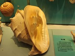 -天津自然博物馆