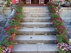 -寂照庵