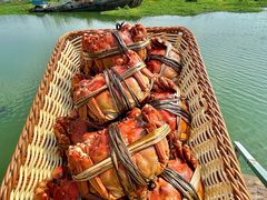 -七的湖·江南蟹舫·阳澄湖农家菜(蟹舫苑店)