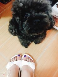 足部美甲-可瑞娜美甲美颜汇
