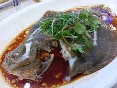 清蒸多宝鱼-旭璟酒家·传统粤菜·湘菜(逸景路店)