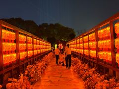 -隋唐洛阳城明堂天堂景区